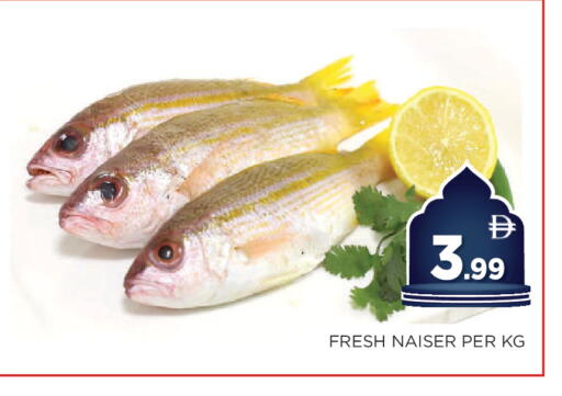 available at اينس المدينة هايبرماركت in الإمارات العربية المتحدة , الامارات - الشارقة / عجمان