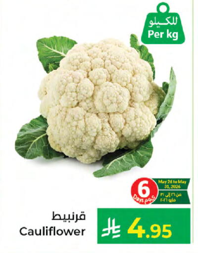 Cauliflower available at Kabayan Hypermarket in KSA, Saudi Arabia, Saudi - Jeddah