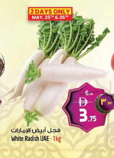 Radish available at سفاري هايبر ماركت in الإمارات العربية المتحدة , الامارات - رَأْس ٱلْخَيْمَة
