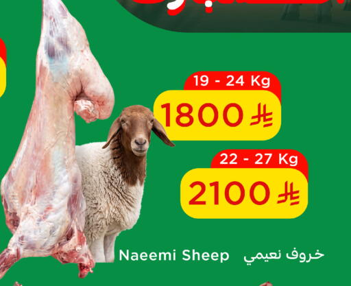 available at وهج مارت in مملكة العربية السعودية, السعودية, سعودية - جدة