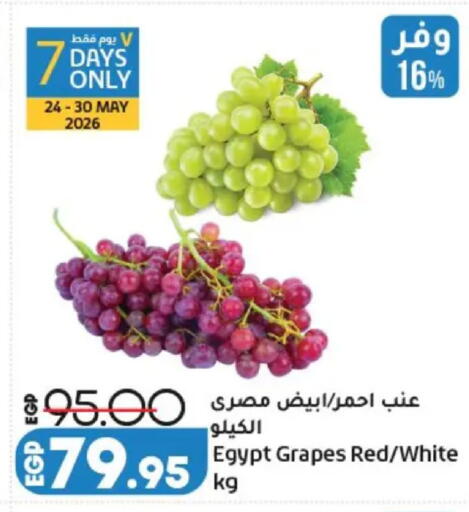 Grapes from Egypt available at لولو هايبرماركت in Egypt - القاهرة