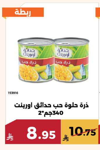 available at حدائق الفرات in مملكة العربية السعودية, السعودية, سعودية - مكة المكرمة