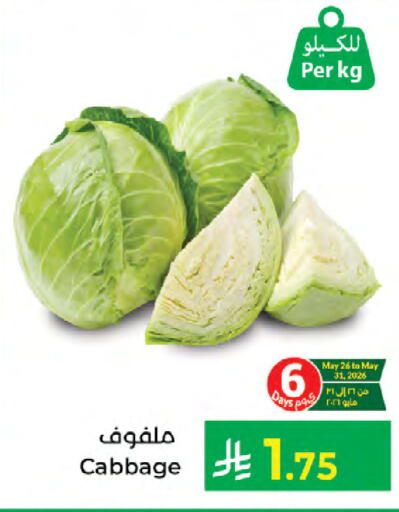 Cabbage available at Kabayan Hypermarket in KSA, Saudi Arabia, Saudi - Jeddah