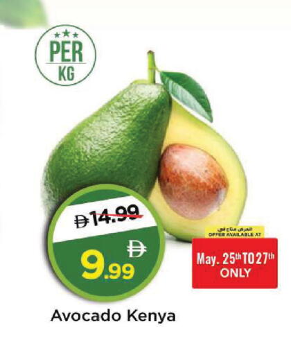 Avocado from Kenya available at مارك & سيف in الإمارات العربية المتحدة , الامارات - أبو ظبي