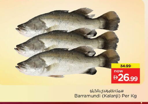 available at نستو هايبرماركت in الإمارات العربية المتحدة , الامارات - ٱلْعَيْن‎