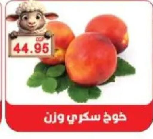 available at Sarhan Market in Egypt - Cairo