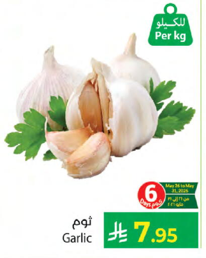 Garlic available at Kabayan Hypermarket in KSA, Saudi Arabia, Saudi - Jeddah