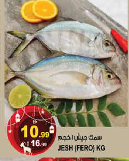 available at هاشم هايبرماركت in الإمارات العربية المتحدة , الامارات - الشارقة / عجمان