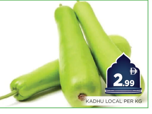 available at اينس المدينة هايبرماركت in الإمارات العربية المتحدة , الامارات - الشارقة / عجمان