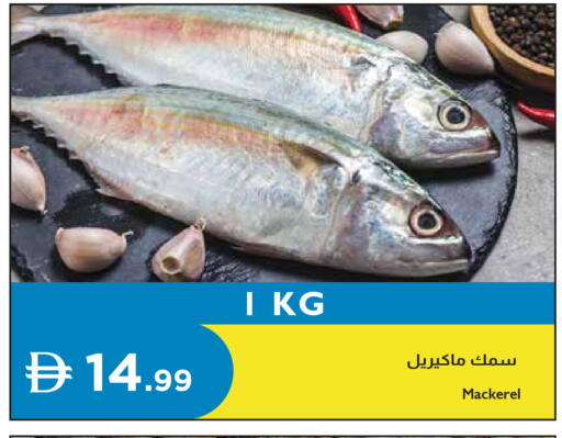 available at إسطنبول سوبرماركت in الإمارات العربية المتحدة , الامارات - ٱلْعَيْن‎