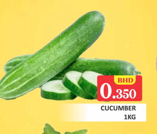 Cucumber available at Talal Markets in Bahrain