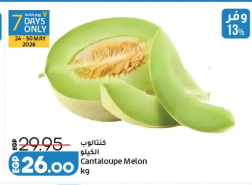 Cantaloupe Melon available at لولو هايبرماركت in Egypt - القاهرة