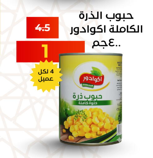 available at Economic Family in KSA, Saudi Arabia, Saudi - Yanbu