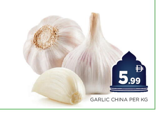 Garlic from China available at اينس المدينة هايبرماركت in الإمارات العربية المتحدة , الامارات - الشارقة / عجمان