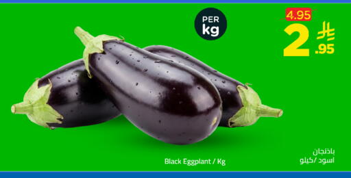 Eggplant available at وهج مارت in مملكة العربية السعودية, السعودية, سعودية - جدة