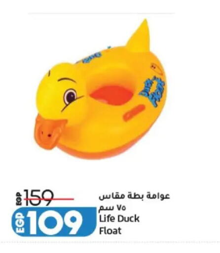 available at Lulu Hypermarket  in Egypt - Cairo