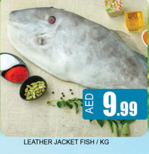 available at لكي سنتر in الإمارات العربية المتحدة , الامارات - الشارقة / عجمان