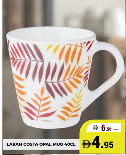 available at كيرالا هايبرماركت in الإمارات العربية المتحدة , الامارات - رَأْس ٱلْخَيْمَة