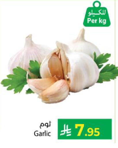 Garlic available at Kabayan Hypermarket in KSA, Saudi Arabia, Saudi - Yanbu