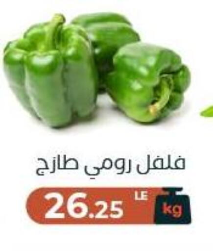available at عرفة ماركت in Egypt - القاهرة