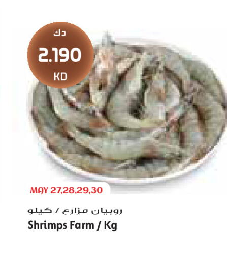 available at جراند كوستو in الكويت - مدينة الكويت