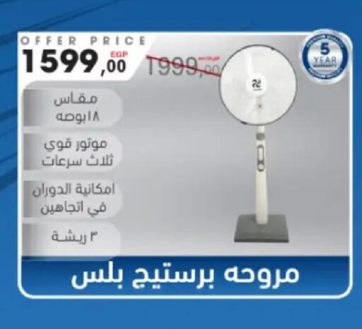 available at مارت فيل in Egypt - القاهرة