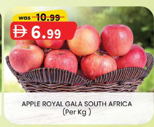 Apple from South Africa available at Safa Express Supermarket in UAE - Abu Dhabi