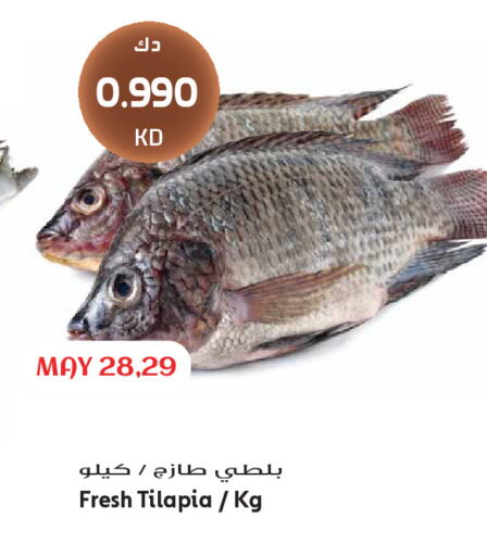 available at Grand Hyper in Kuwait - Kuwait City