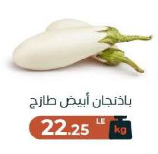 available at عرفة ماركت in Egypt - القاهرة