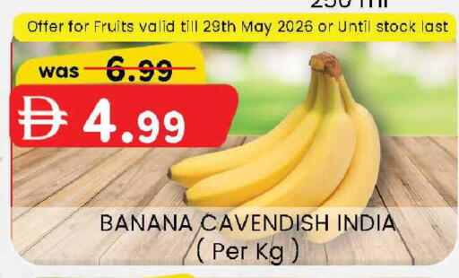 Banana from India available at ك. الم. للتجارة in الإمارات العربية المتحدة , الامارات - الشارقة / عجمان