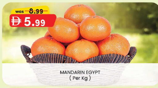 Mandarin from Egypt available at ك. الم. للتجارة in الإمارات العربية المتحدة , الامارات - الشارقة / عجمان