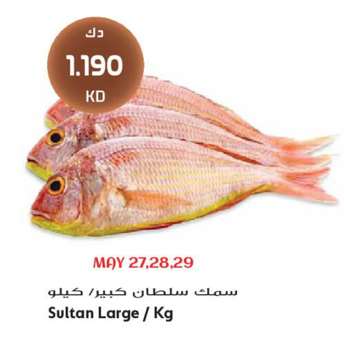 available at Grand Hyper in Kuwait - Kuwait City