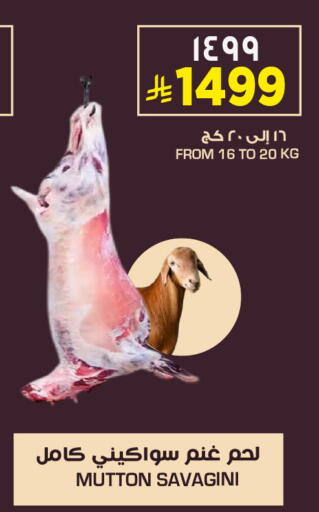 available at نستو in مملكة العربية السعودية, السعودية, سعودية - الخبر‎