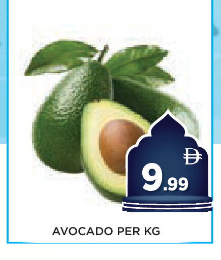 Avocado available at عين المدينة هايبرماركت in الإمارات العربية المتحدة , الامارات - الشارقة / عجمان