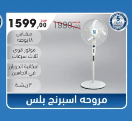 available at مارت فيل in Egypt - القاهرة