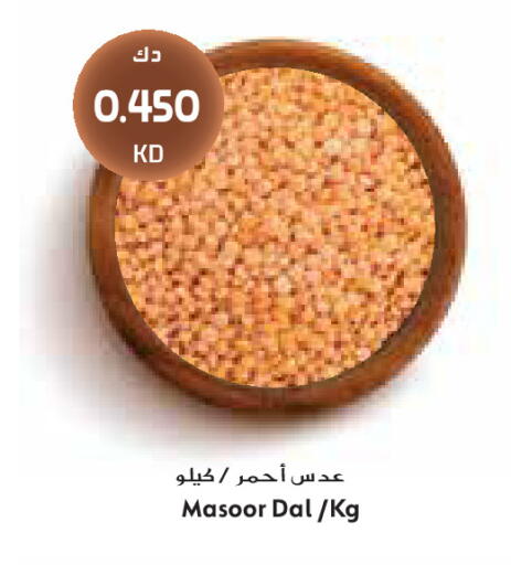 available at Grand Costo in Kuwait - Kuwait City