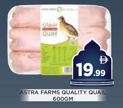 available at Ain Al Madina Hypermarket in UAE - Sharjah / Ajman