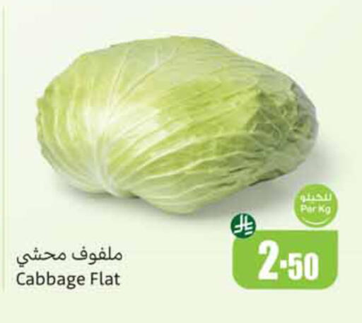 Cabbage available at Othaim Markets in KSA, Saudi Arabia, Saudi - Hafar Al Batin