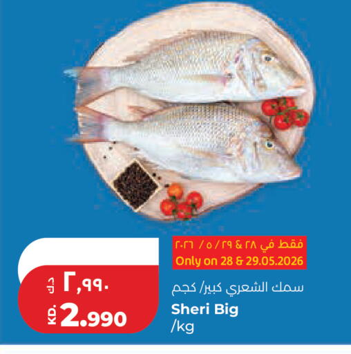 available at Lulu Hypermarket  in Kuwait - Kuwait City