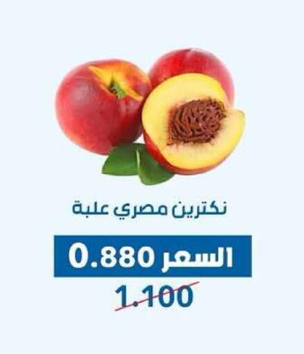 available at جمعية ضاحية عبدالله السالم والمنصورية التعاونية in الكويت - مدينة الكويت