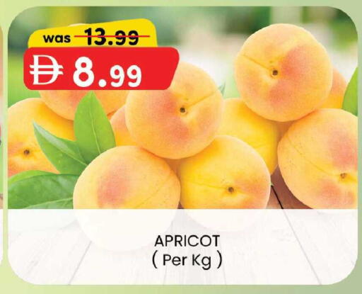 Apricot available at ك. الم. للتجارة in الإمارات العربية المتحدة , الامارات - الشارقة / عجمان