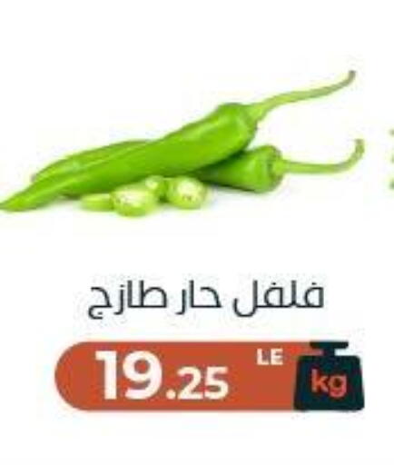 available at عرفة ماركت in Egypt - القاهرة