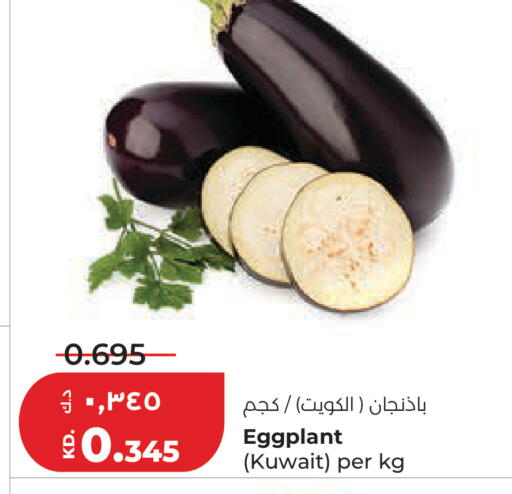 Eggplant from Kuwait available at Lulu Hypermarket  in Kuwait - Kuwait City