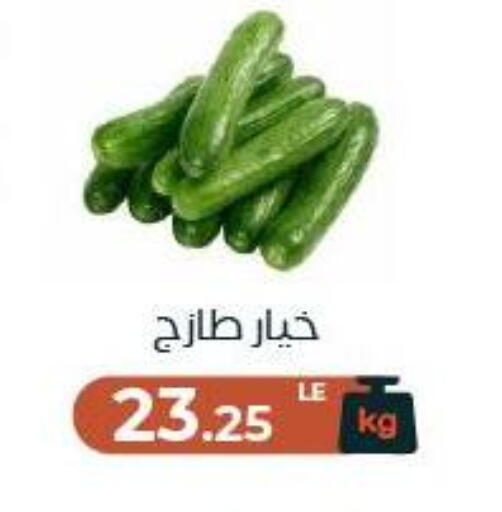available at عرفة ماركت in Egypt - القاهرة