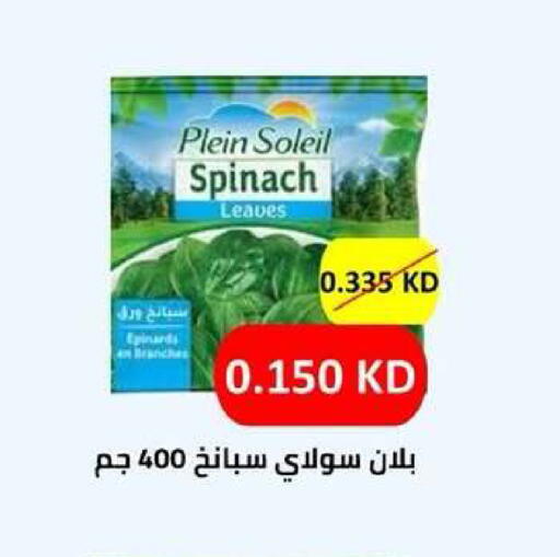 Spinach available at جمعية ضاحية عبدالله السالم والمنصورية التعاونية in الكويت - مدينة الكويت
