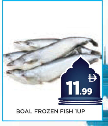available at عين المدينة هايبرماركت in الإمارات العربية المتحدة , الامارات - الشارقة / عجمان