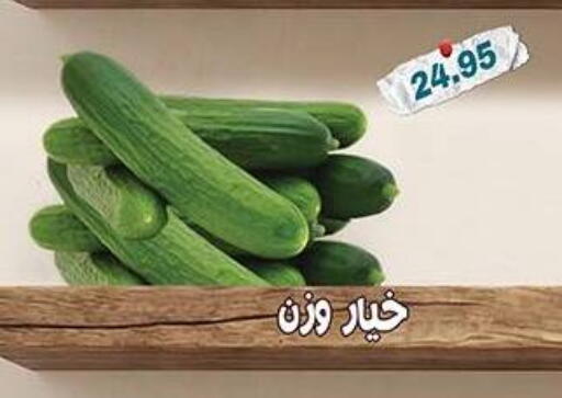 available at Dlina Market in Egypt - Cairo