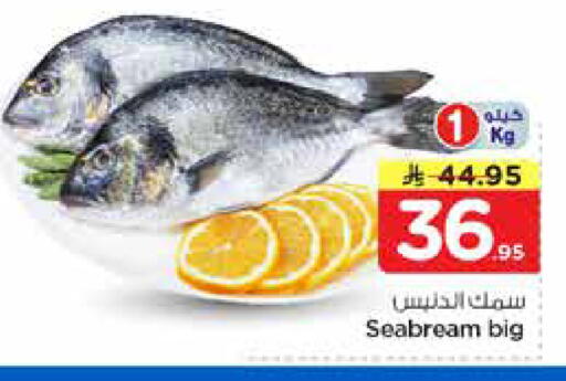 available at نستو in مملكة العربية السعودية, السعودية, سعودية - الخرج