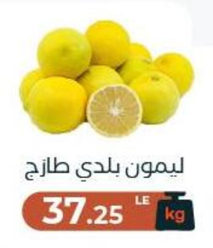 available at عرفة ماركت in Egypt - القاهرة