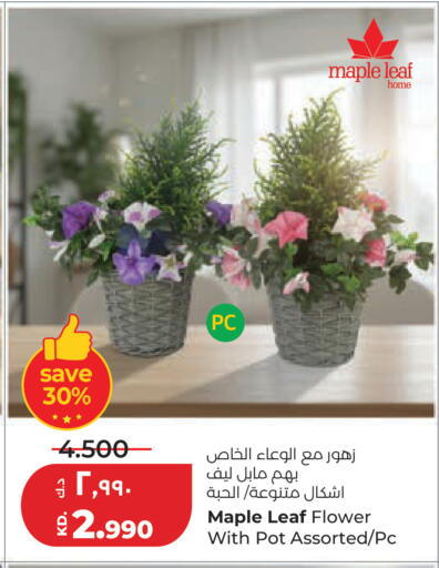available at Lulu Hypermarket  in Kuwait - Kuwait City